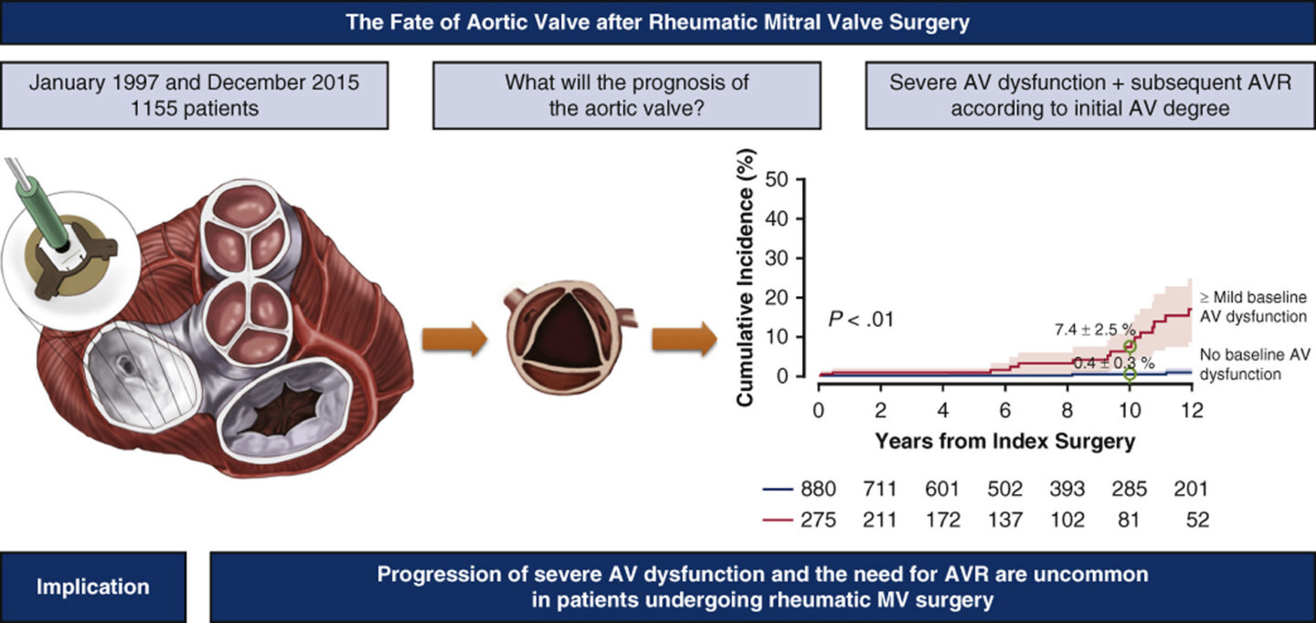 The fate of aortic valve after rheumatic mitral valve surgery